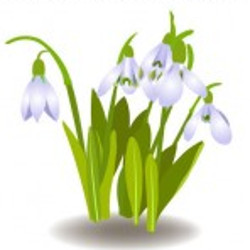 flashcard-cho-be-chu-de-mua-xuan