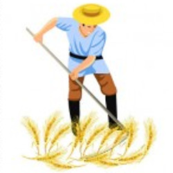 flashcard-cho-be-chu-de-mua-thu