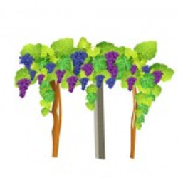 flashcard-cho-be-chu-de-mua-thu