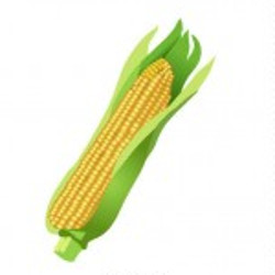 flashcard-cho-be-chu-de-mua-thu