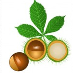 flashcard-cho-be-chu-de-mua-thu