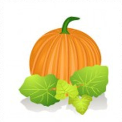 flashcard-cho-be-chu-de-mua-thu