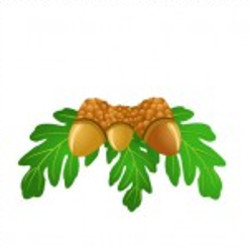 flashcard-cho-be-chu-de-mua-thu