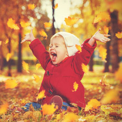 Flashcard cho bé - Chủ đề Mùa Thu