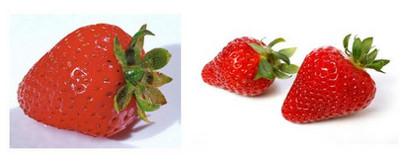 Bài tập toán lớp 1