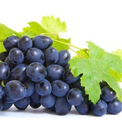 fashcard-cho-be-hoc-tieng-anh-he-chu-de-ten-cac-loai-hoa-qua