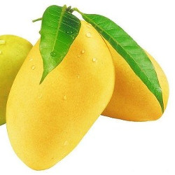 fashcard-cho-be-hoc-tieng-anh-he-chu-de-ten-cac-loai-hoa-qua