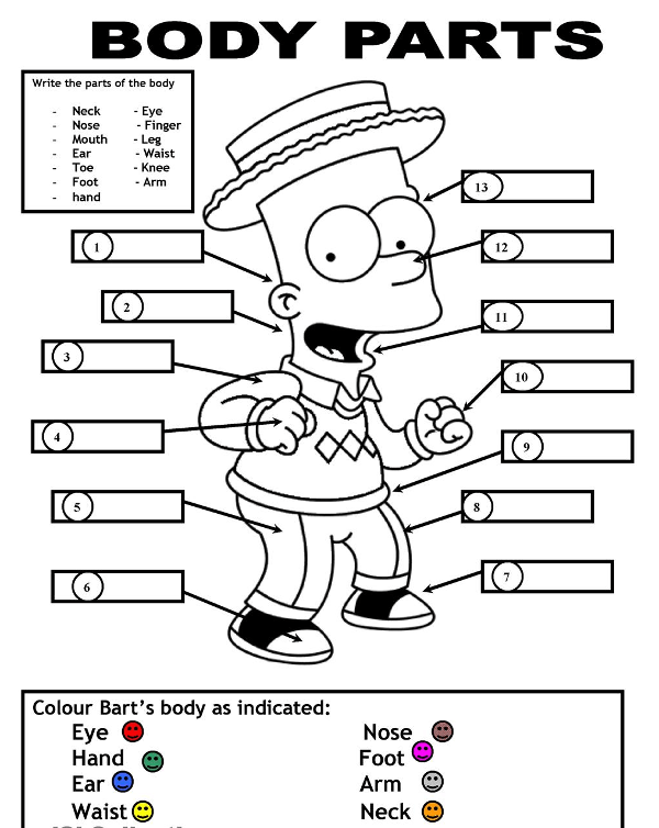 36 từ vựng tiếng Anh theo chủ đề về cơ thể người