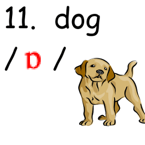 bai-tap-trac-nghiem-ngu-am-can-ban--cach-phat-am-nguyen-am-trong-bang-ipa