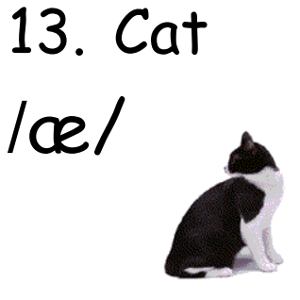 bai-tap-trac-nghiem-ngu-am-can-ban--cach-phat-am-nguyen-am-trong-bang-ipa