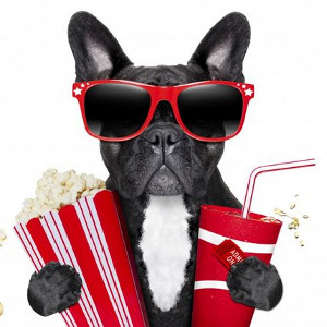 bai-tap-ngu-phap-tieng-anh-thi-qua-khu-hoan-thanh