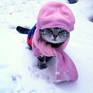 bai-tap-ngu-phap-tieng-anh-thi-qua-khu-hoan-thanh