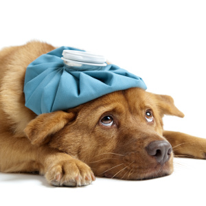 bai-tap-ngu-phap-tieng-anh-thi-qua-khu-hoan-thanh