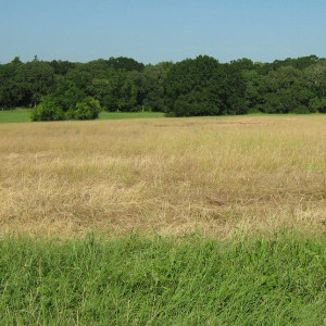 bai-tap-ngu-phap-tieng-anh-thi-qua-khu-hoan-thanh