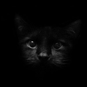 flashcard-hoc-tu-moi-tieng-anh-chu-de-mau-sac