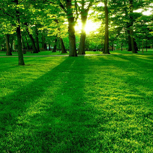 flashcard-hoc-tu-moi-tieng-anh-chu-de-mau-sac