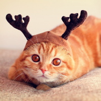 Chỉ 2% người nhìn thấy hình ảnh ẩn trong 12 bức tranh dưới đây!