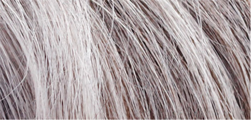 Thử tài phân biệt tóc người và bơm ngựa