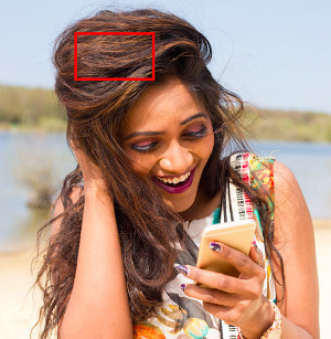 Thử tài phân biệt tóc người và bờm ngựa 