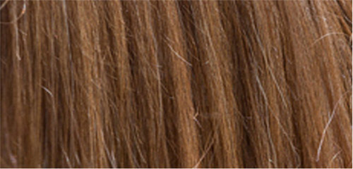 thử tài phân biệt tóc người và bờm ngựa 