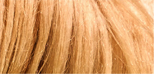 Thử tài phân biệt tóc người và bờm ngựa 