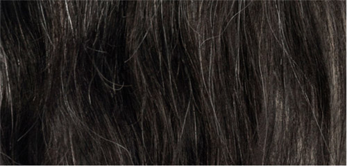 thử tài phân biệt tóc người và bờm ngựa 