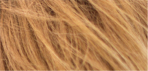 Thử tài phân biệt tóc người và bờm ngựa 