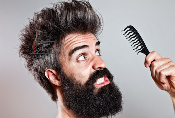 Thử tài phân biệt tóc người và bờm ngựa 