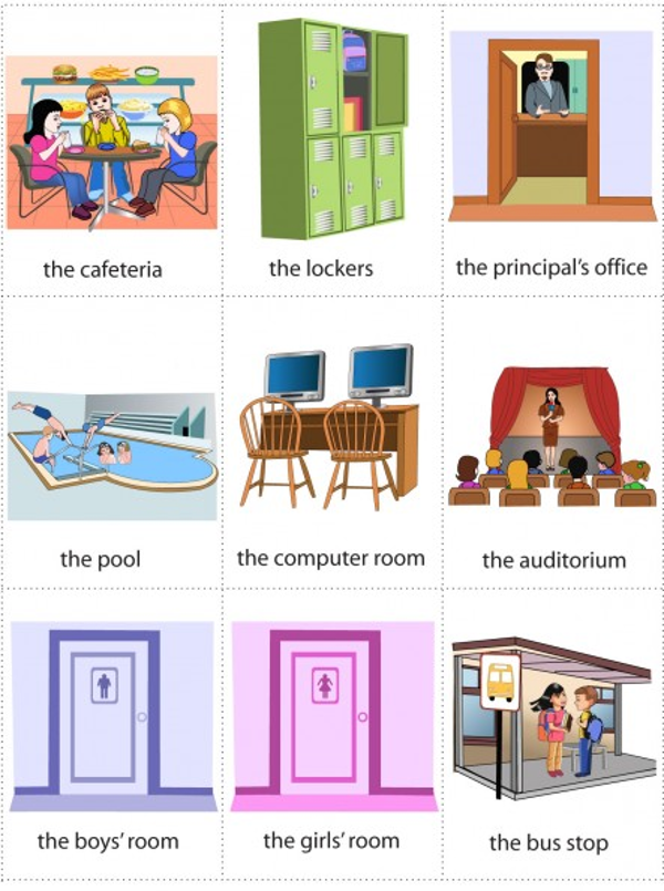 Các từ vựng giáo dục thông dụng