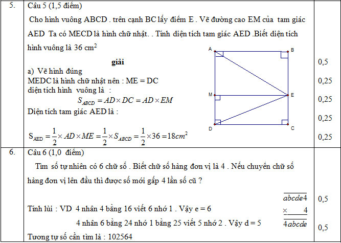 Đề thi khảo sát chất lượng đầu vào môn Toán lớp 6 Đề thi khảo sát chất lượng đầu vào môn Toán lớp 6