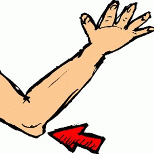 flashcard-hoc-tu-vung-cac-bo-phan-tren-co-the-nguoi