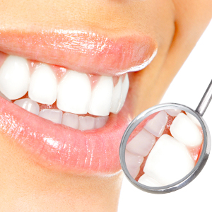 flashcard-hoc-tu-vung-cac-bo-phan-tren-co-the-nguoi