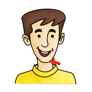 flashcard-hoc-tu-vung-cac-bo-phan-tren-co-the-nguoi