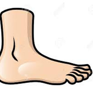 flashcard-hoc-tu-vung-cac-bo-phan-tren-co-the-nguoi