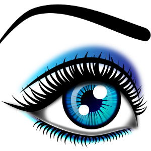 flashcard-hoc-tu-vung-cac-bo-phan-tren-co-the-nguoi