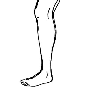 flashcard-hoc-tu-vung-cac-bo-phan-tren-co-the-nguoi