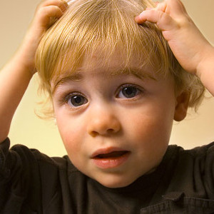 flashcard-hoc-tu-vung-cac-bo-phan-tren-co-the-nguoi