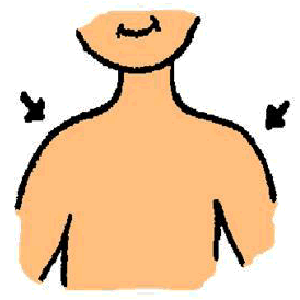 flashcard-hoc-tu-vung-cac-bo-phan-tren-co-the-nguoi