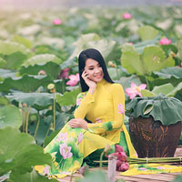 Đề thi khảo sát chất lượng đầu năm môn Sinh học lớp 12 trường THPT Văn Quán, Vĩnh Phúc năm học 2014 - 2015