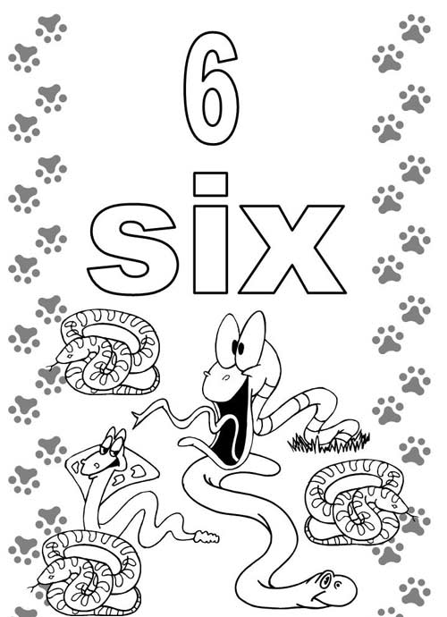 Số đếm và số thứ tự trong tiếng anh