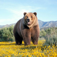 Thử tài nhìn ảnh đoán tên quốc gia