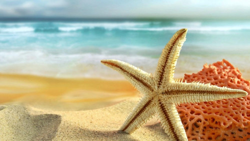 Trắc nghiệm kiến thức 