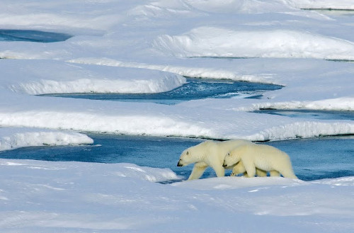 Trắc nghiệm kiến thức