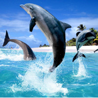 Đại dương và những bí ẩn ít ai biết