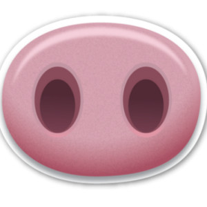 thử thách trí nhớ 