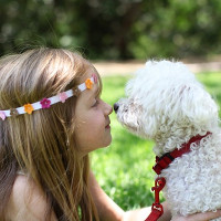 Bài tập ngữ âm căn bản: Chủ đề động vật