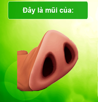 Trắc nghiệm về phim 