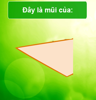 Trắc nghiệm về phim