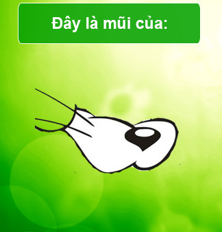 Trắc nghiệm về phim