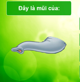 Trắc nghiệm về phim 